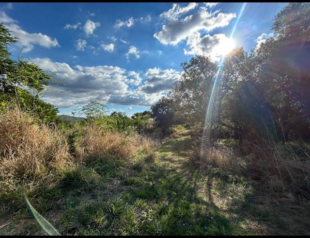FARM FOR SALE IN SCHURVEBERG AH